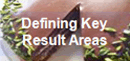 Key Result Analysis